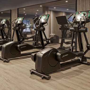 Commercial Ellipticals