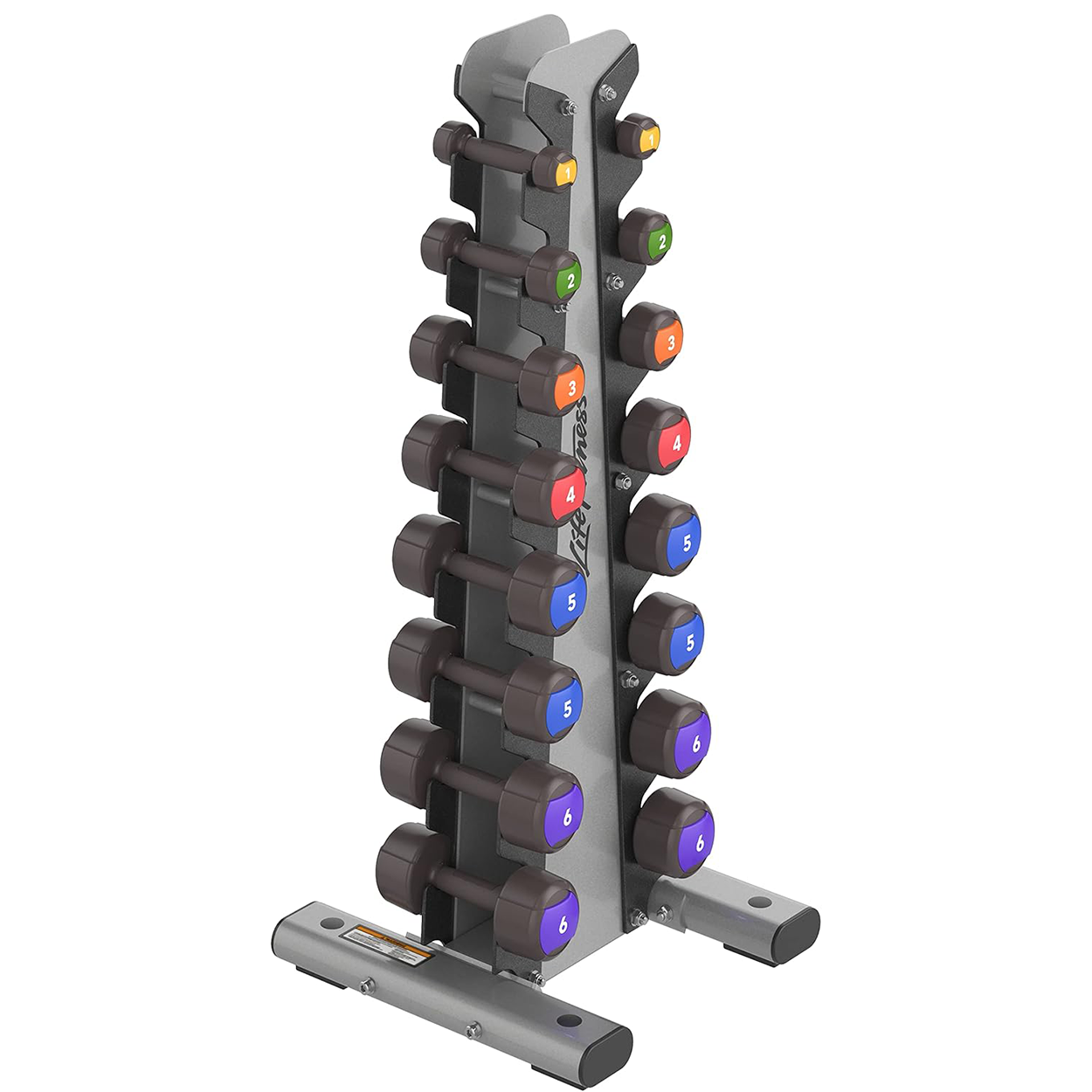 Life Fitness AXIOM Series Vertical Dumbbell Rack & Dumbbells