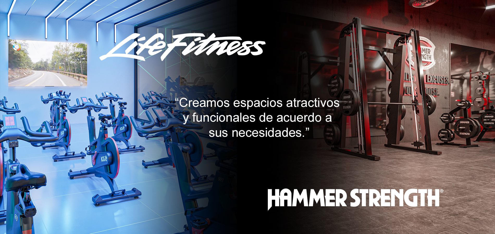 Life fitness hammer espacios funcionales