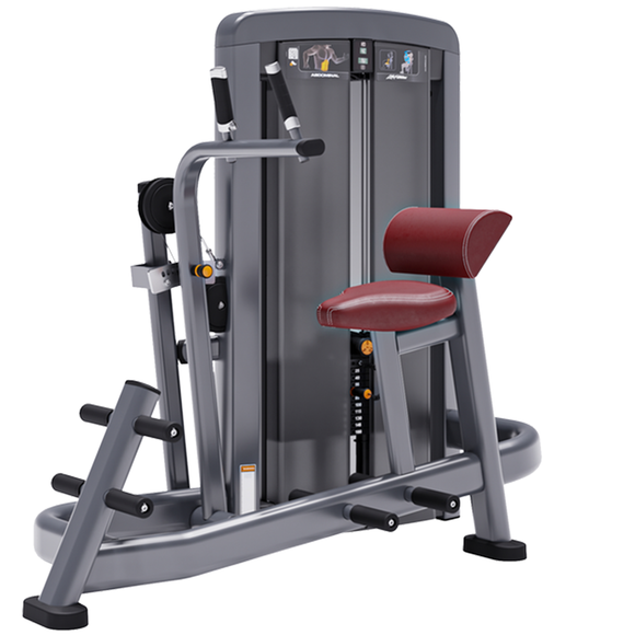 Life Fitness Insignia Series Abdominal Advanced