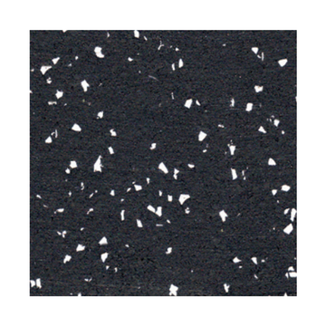 ECORE Rubber Gym Floor TilesRico