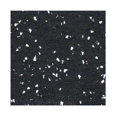 ECORE Rubber Gym Floor TilesRico