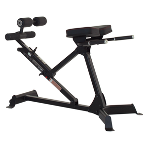 Inspire 45-90 Hyperextension Bench Fitness For Life Puerto Rico