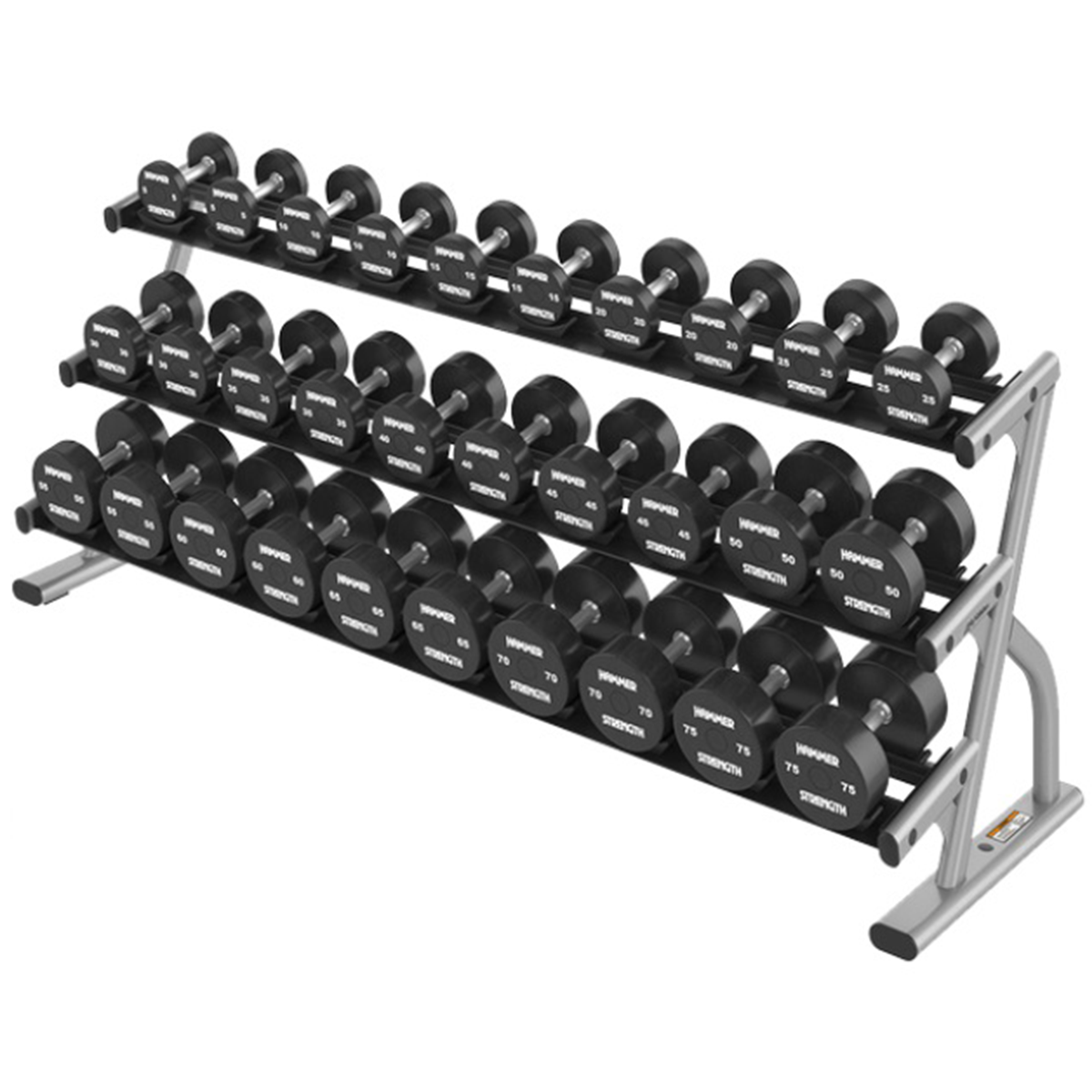 AXIOM Series Three-Tier Short & Long Saddle Dumbbell Racks Fitness For Life Puerto Rico