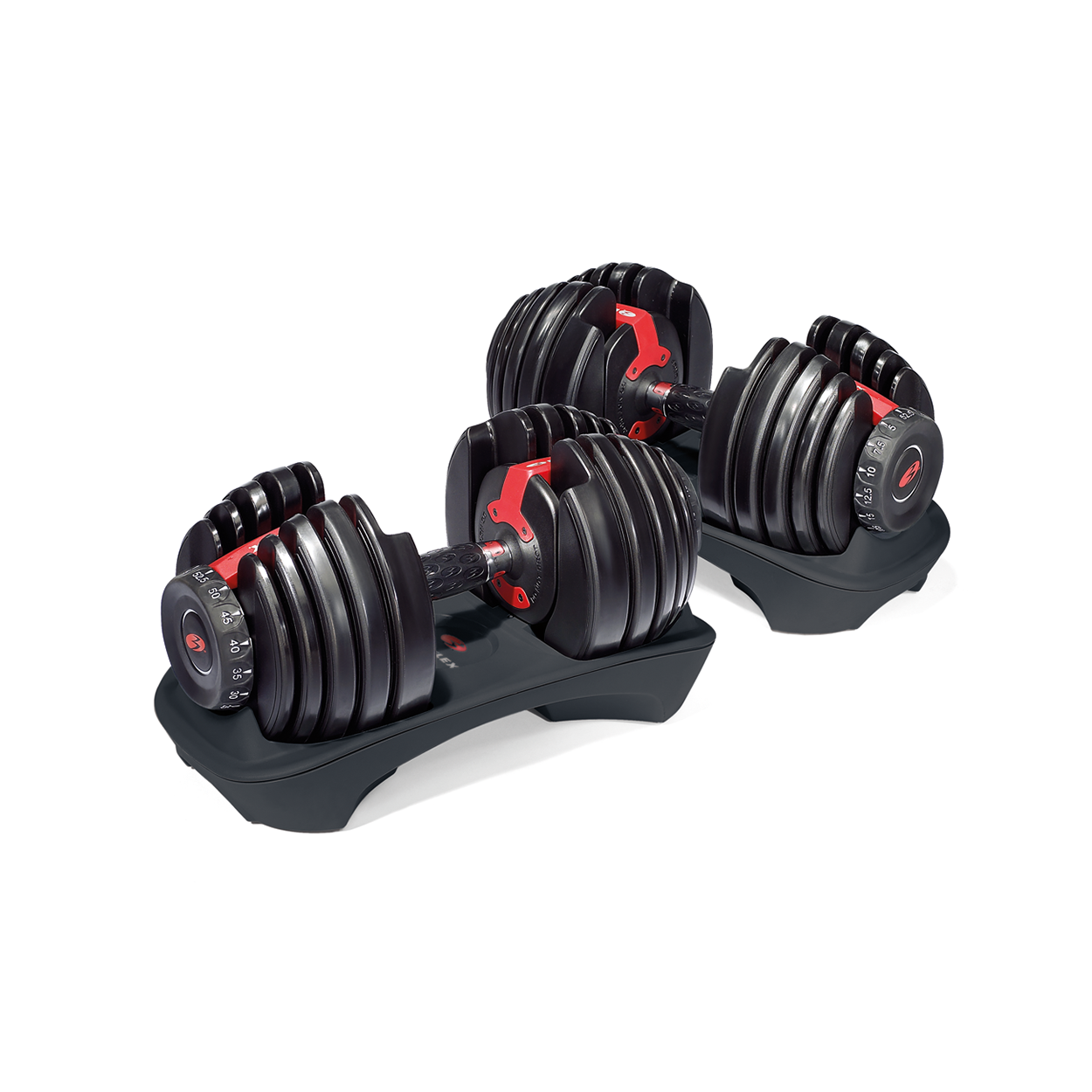 Bowflex Selecttech 552 Workout Routine EOUA Blog