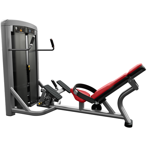 Insignia Series Glute Bridge Fitness For Life Puerto Rico